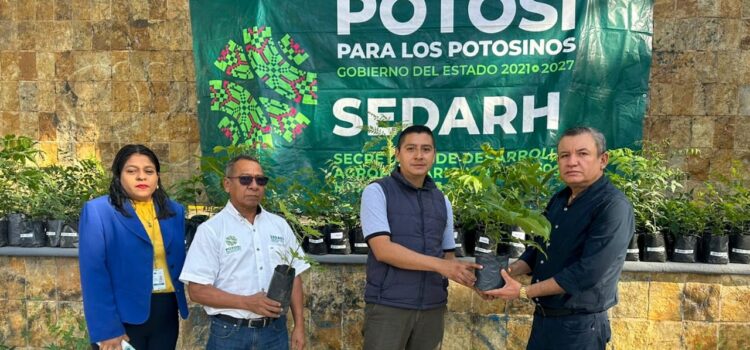 AVANZA EJECUTIVO ESTATAL ACCIONES DE REFORESTACIÓN A FAVOR DEL MEDIO AMBIENTE