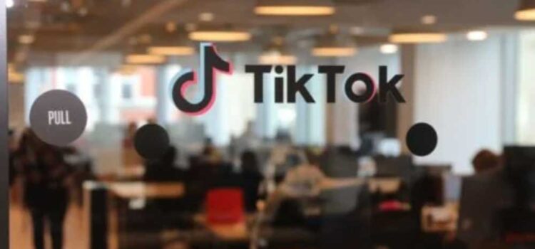 ¿TikTok US, la nueva red social de Elon Musk?