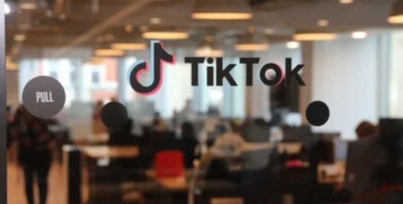 ¿TikTok US, la nueva red social de Elon Musk?