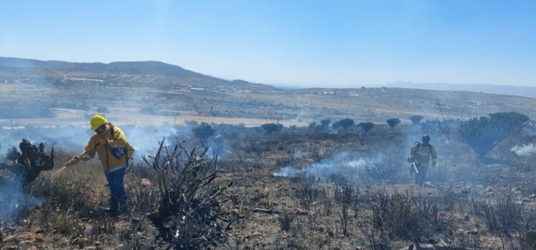 EL ESTADO EN VIGILANCIA PERMANENTE POR TEMPORADA DE INCENDIOS FORESTALES