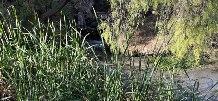 PLANTAS TRATADORAS DE AGUA DEL TANGAMANGA SON OPERADAS POR INTERAPAS: CEA