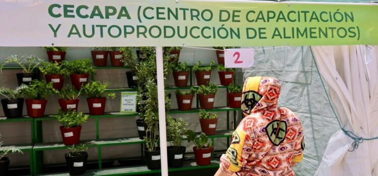 GOBIERNO ESTATAL BRINDA ASESORÍA Y APOYO A FAMILIAS PARA PRODUCCIÓN DE ALIMENTOS