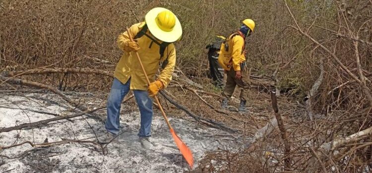 REPORTAN MÁS AVANCES EN EL COMBATE A INCENDIOS EN EL ESTADO