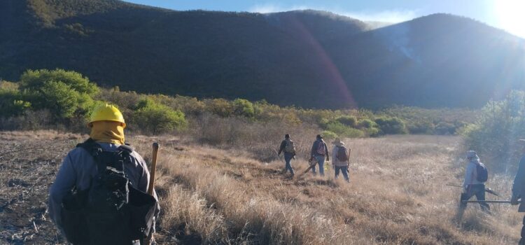 AUTORIDADES DE LOS TRES NIVELES TRABAJAN EN INCENDIO EN CERRITOS
