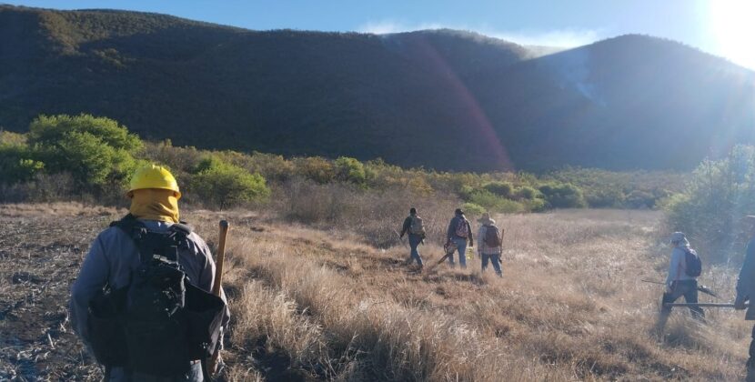 AUTORIDADES DE LOS TRES NIVELES TRABAJAN EN INCENDIO EN CERRITOS