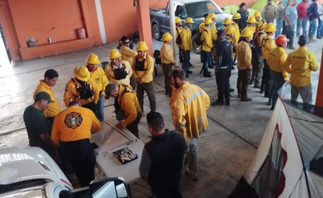 EL ESTADO PROPONE SANCIONES A QUIENES PROVOQUEN INCENDIOS
