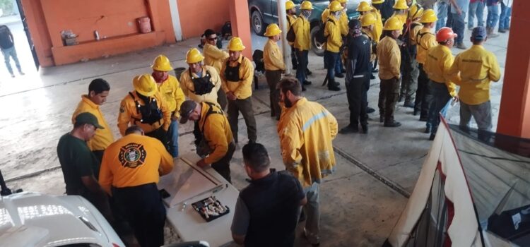 EL ESTADO PROPONE SANCIONES A QUIENES PROVOQUEN INCENDIOS