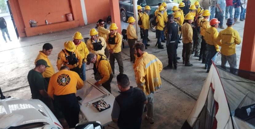EL ESTADO PROPONE SANCIONES A QUIENES PROVOQUEN INCENDIOS