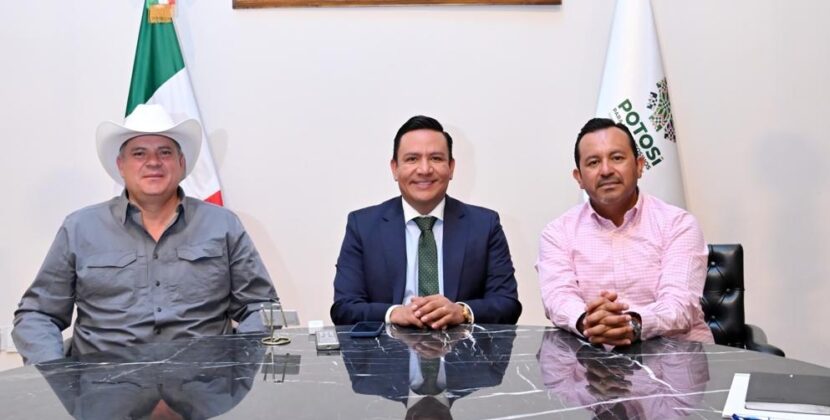 SAN LUIS PREVIENE INGRESO DE GANADO INFECTADO POR GUSANO BARRENADOR