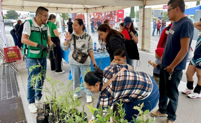 ESTADO CONMEMORA DÍA DEL ÁRBOL CON JORNADA DE RECICLAJE Y REFORESTACIÓN