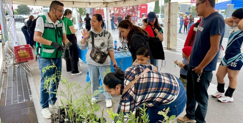 ESTADO CONMEMORA DÍA DEL ÁRBOL CON JORNADA DE RECICLAJE Y REFORESTACIÓN