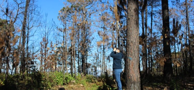 AVANZA SIN LÍMITES LA PROTECCIÓN AMBIENTAL EN SAN LUIS