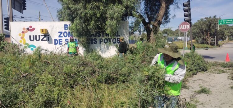 AVANZA MEJORAMIENTO DE CALLES EN LA ZONA INDUSTRIAL <br>
