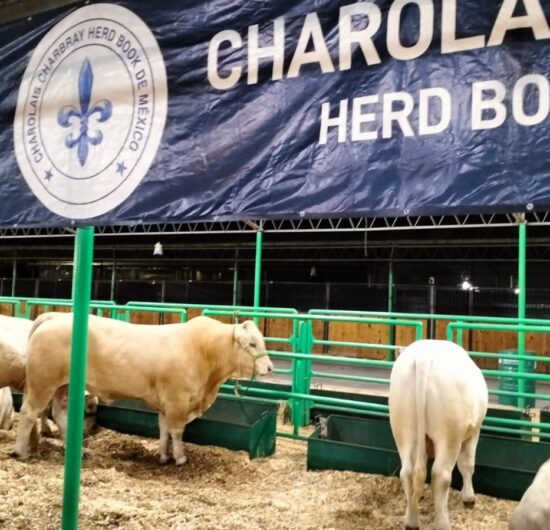 APOYOS HISTÓRICOS PARA EL CAMPO POTOSINO EN LA FENAPO 2025